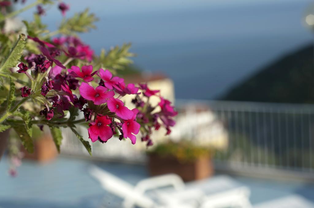 Bed and Breakfast Le Terrazze Di Cristina Vietri Exterior foto