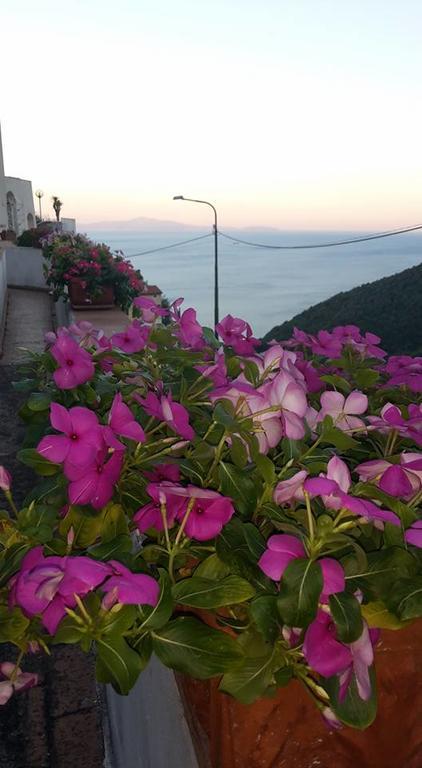 Bed and Breakfast Le Terrazze Di Cristina Vietri Exterior foto
