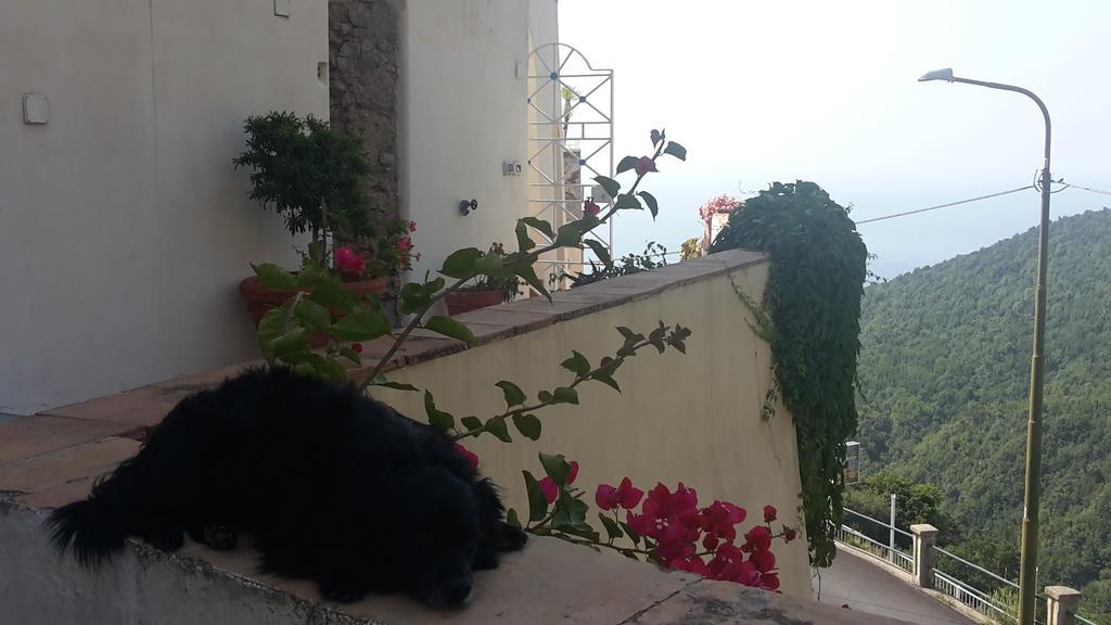 Bed and Breakfast Le Terrazze Di Cristina Vietri Exterior foto