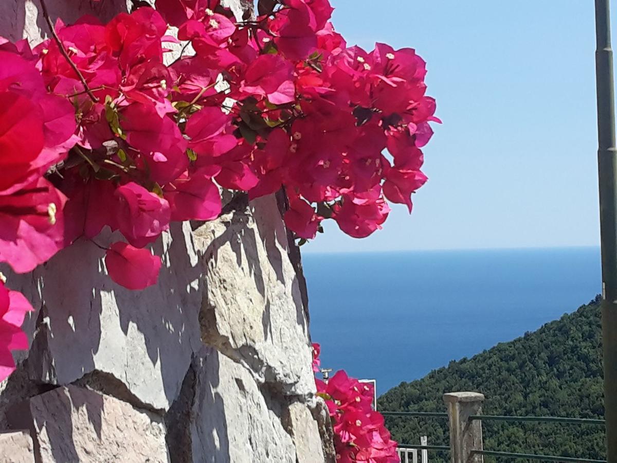 Bed and Breakfast Le Terrazze Di Cristina Vietri Exterior foto