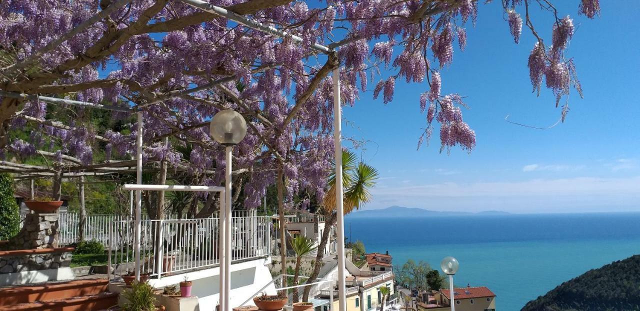 Bed and Breakfast Le Terrazze Di Cristina Vietri Exterior foto