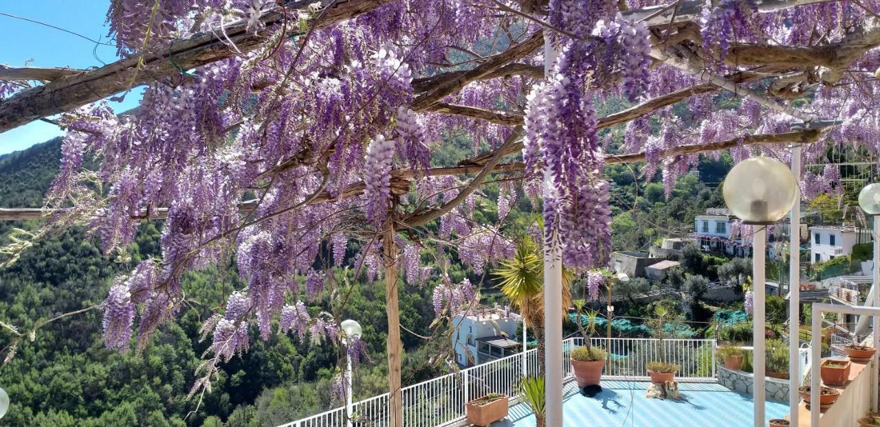 Bed and Breakfast Le Terrazze Di Cristina Vietri Exterior foto